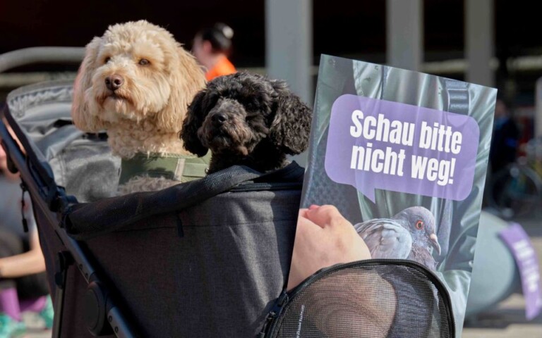 Spenden