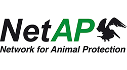 NetAP